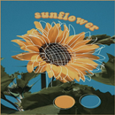 Sunflower esthetisch behang-APK