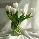 Fond d'écran esthétique tulipe icône