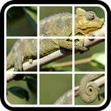 Animals slide Puzzle biểu tượng