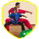 Shaolin Kung Fu Skills (Guide) APK