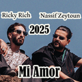 ناصيف زيتون 2025 بدون نت