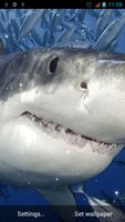 Shark Live Wallpaper โปสเตอร์