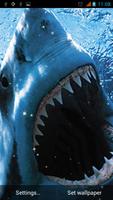 Shark Live Wallpaper ภาพหน้าจอ 1