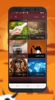 شيلات syot layar 2