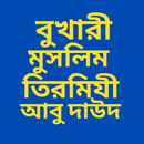 বুখারী মুসলিম আবু দাউদ তিরমিজী APK