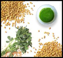 Home Remedies for Hair Loss capture d'écran 1