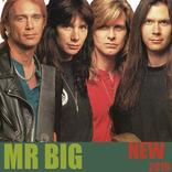 MR. BIG full album Video