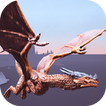 simulateur jeux combat dragon