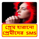 প্রেম হারানো প্রেমীদের এসএমএস ~ Wish You Best sms biểu tượng