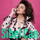 nternet olmadan -Sibel Can - 2018 APK