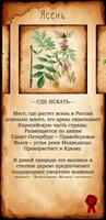 Деревья России. Энциклопедия. تصوير الشاشة 1