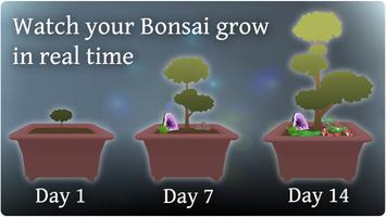 Pocket Bonsai imagem de tela 2