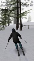 Alpine Ski 3 الملصق