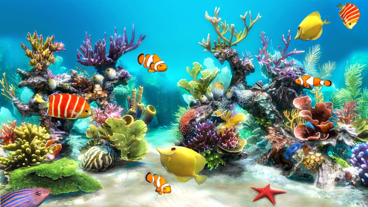Sim Aquarium Live Wallpaper For Android Apk Download - roblox coral reef simulator