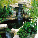 APK Simple Fish Pond Design