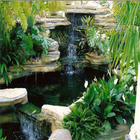 Simple Fish Pond Design-icoon