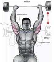 exercices musculation à la mai تصوير الشاشة 3