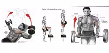 Tutorial de musculação e fitness