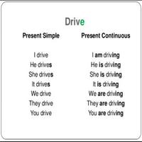 Simple Present Tenses 海報