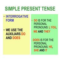 برنامه‌نما Simple Present Tenses عکس از صفحه