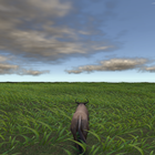 Savanna Safari Wildlife Animal icono