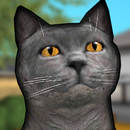 Cat Shelter Simulator 3D APK