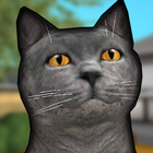 Cat Shelter Simulator 3D icône