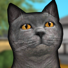 Cat Shelter Simulator 3D simgesi