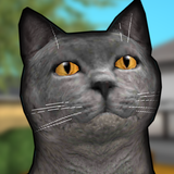 Cat Shelter Simulator 3D