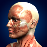 Explore the complete human anatomy with Sisanda