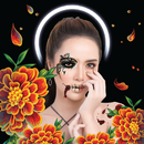 Halloween Photo Effects APK