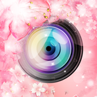 Sweet Cherry Camera آئیکن