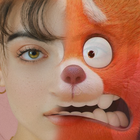 Turning Red Funny FaceMix أيقونة