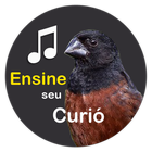 Curió Encarte biểu tượng