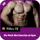 Six Pack Abs Exercise at Gym APK