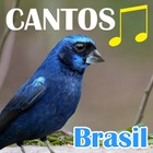 Canto Dos Pássaros Brasil icône