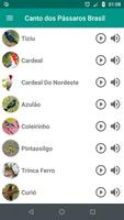Canto Dos Pássaros Brasil Affiche