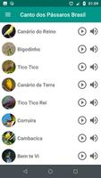 Canto Dos Pássaros Brasil screenshot 1