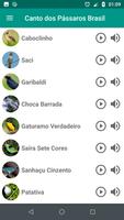 Canto Dos Pássaros Brasil スクリーンショット 2