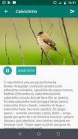 برنامه‌نما Pássaros Do Brasil عکس از صفحه