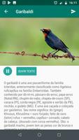 Aves de Brasil captura de pantalla 2