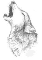 Sketch Pencil Designs ảnh chụp màn hình 2
