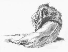 Sketch Pencil Designs ảnh chụp màn hình 3