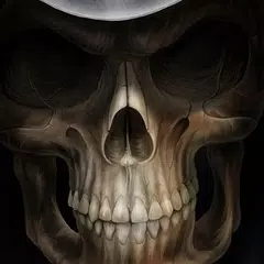 Skulls Live Wallpaper アプリダウンロード
