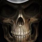 Skulls Live Wallpaper أيقونة