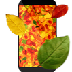 Folhas do outono 3D Papel de p