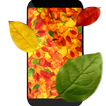 Feuilles d'automne 3D