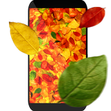 Herbstblätter 3D Zeichen