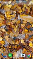 Autumn leaves 3D ภาพหน้าจอ 3