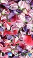 برنامه‌نما Petals 3D عکس از صفحه